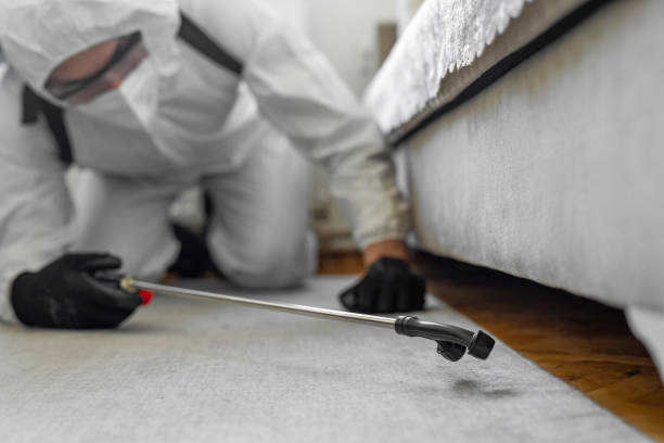 Professional Termite Control technician working in Calabash, NC