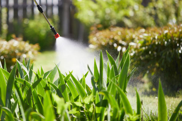 24/7 Emergency Termite Control experts in Calabash, NC
