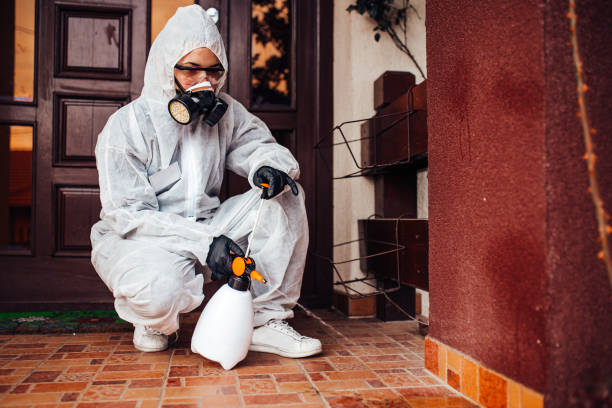 Reliable Termite Control contractor in Calabash, NC by Nex Pest Control